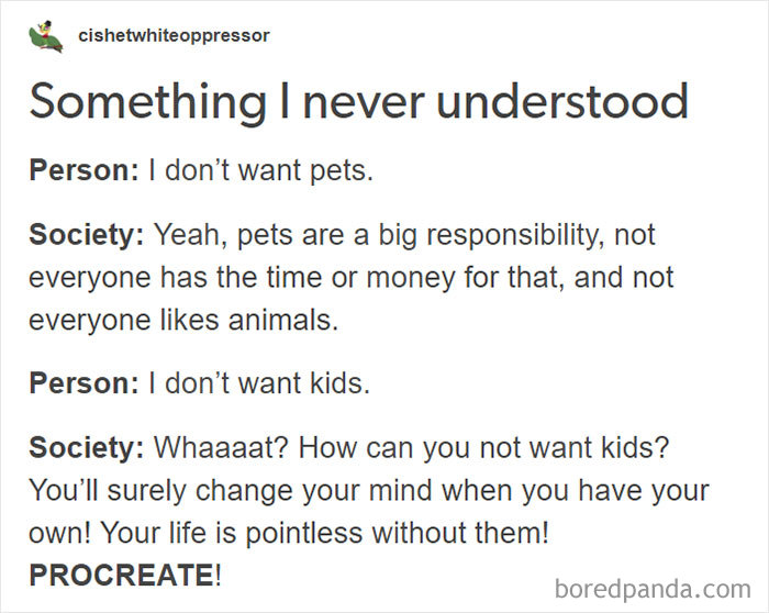 Funny-Pets-Over-Kids-Memes