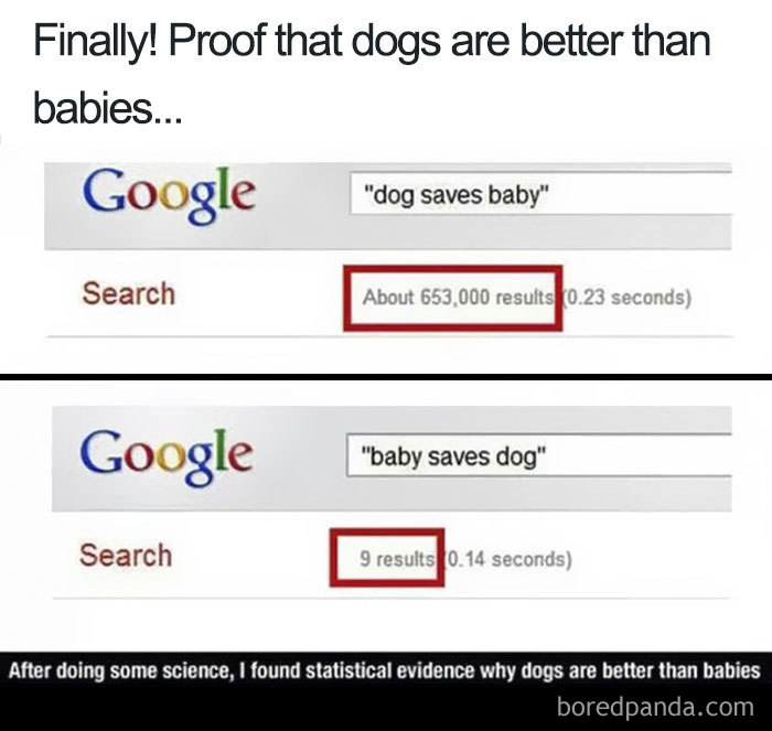 Funny-Pets-Over-Kids-Memes