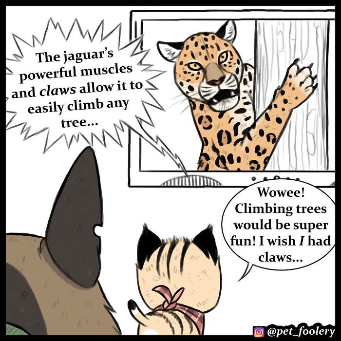 3 New Pixie And Brutus Comics That Will Make Your Day