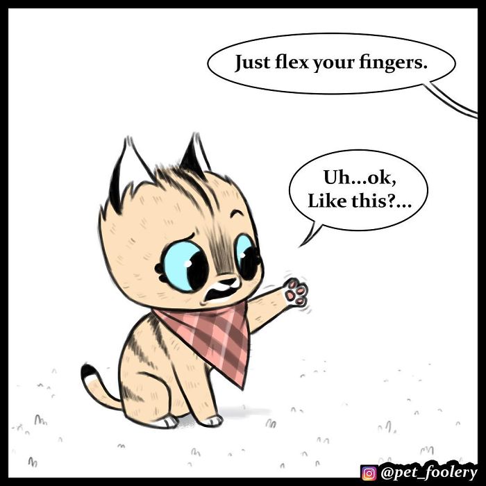 3 New Pixie And Brutus Comics That Will Make Your Day