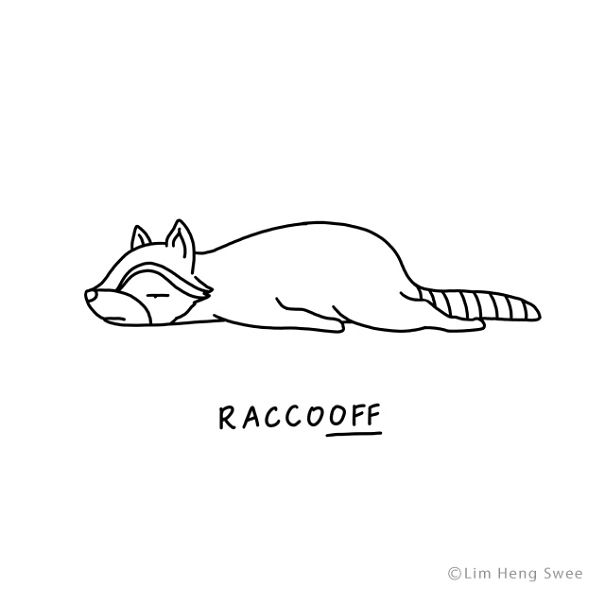 Raccoon