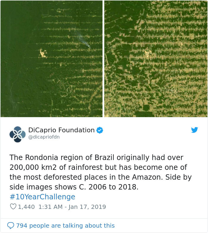 Sad-10-Year-Challenge-Nature-Memes