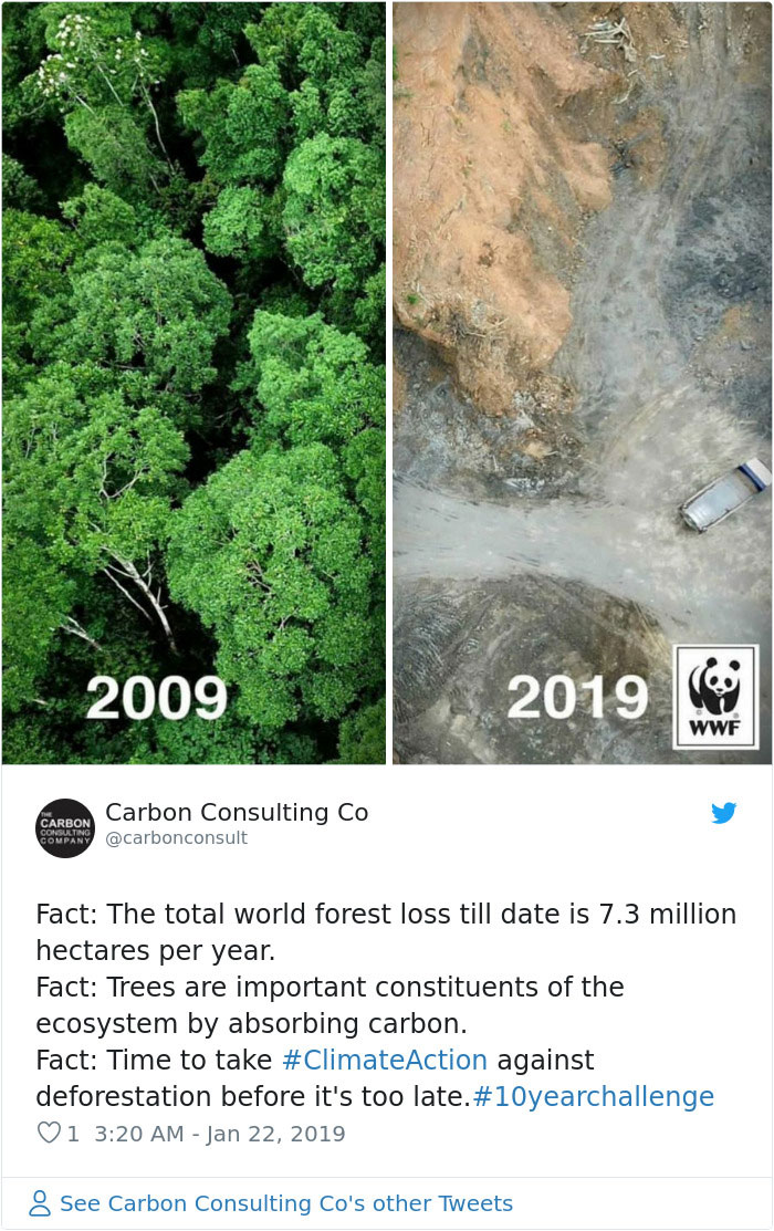 Sad-10-Year-Challenge-Nature-Memes