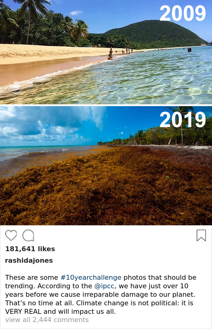 Sad-10-Year-Challenge-Nature-Memes