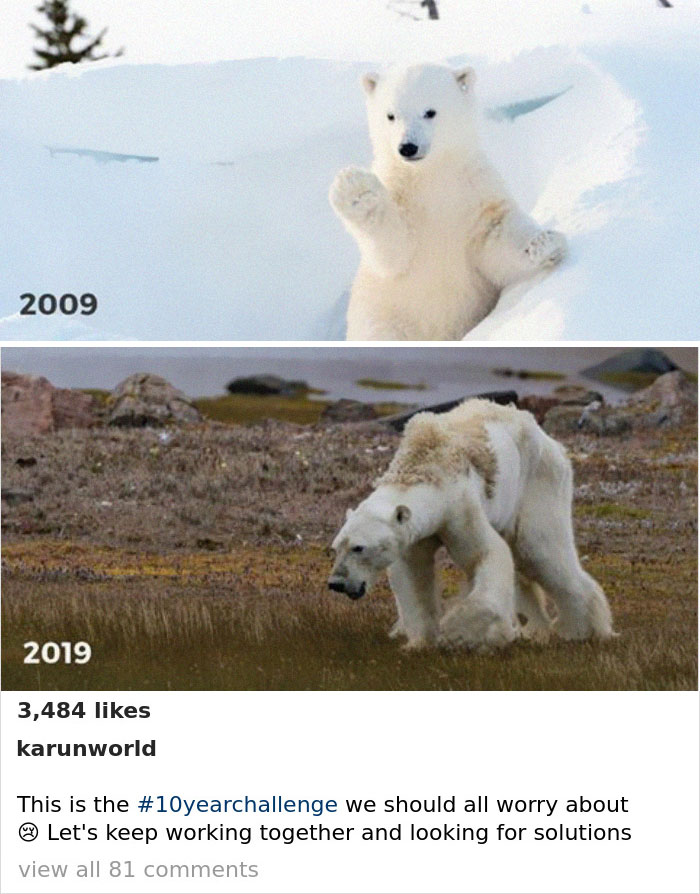 Sad-10-Year-Challenge-Nature-Memes