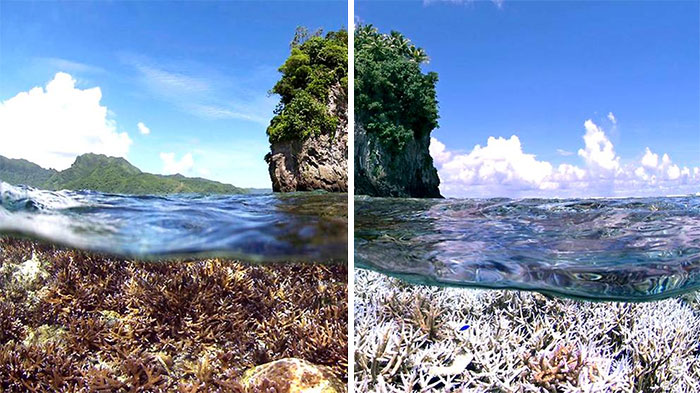 Sad-10-Year-Challenge-Nature-Memes