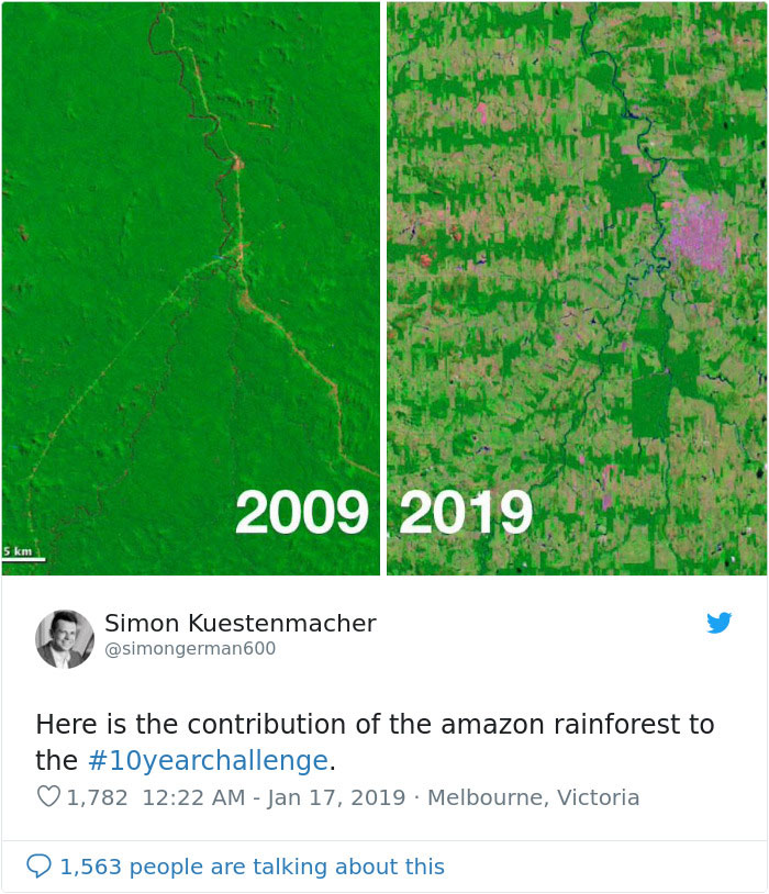 Sad-10-Year-Challenge-Nature-Memes