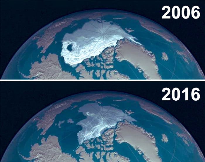 Sad-10-Year-Challenge-Nature-Memes