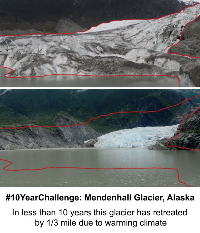 Sad-10-Year-Challenge-Nature-Memes