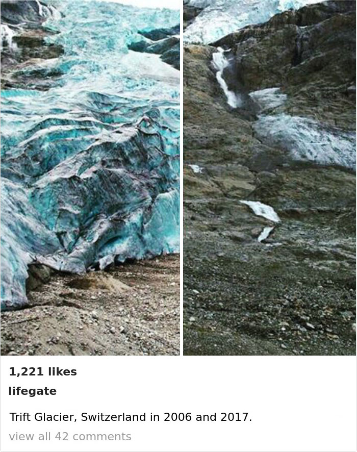 Sad-10-Year-Challenge-Nature-Memes