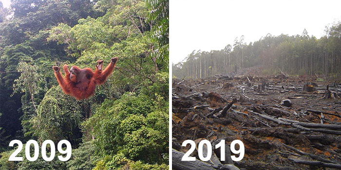 Sad-10-Year-Challenge-Nature-Memes
