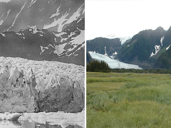 Sad-10-Year-Challenge-Nature-Memes