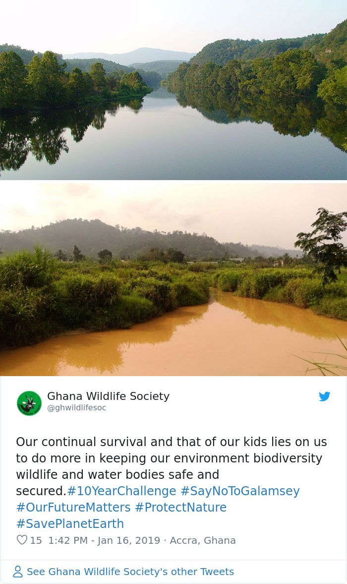 Sad-10-Year-Challenge-Nature-Memes