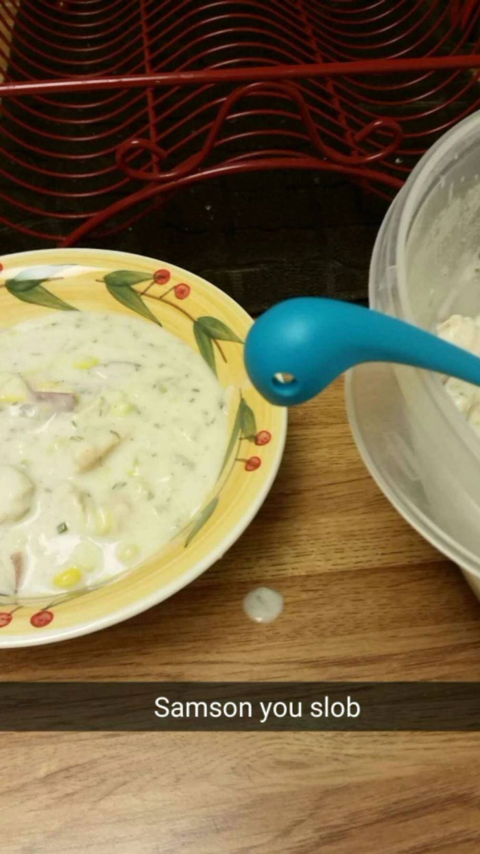 Woman Creates An Instagram Account For Her Soup Ladle Samson And People Can't Get Enough Of Him Woman Creates An Instagram Account For Her Soup Ladle Samson And People Can't Get Enough Of Him