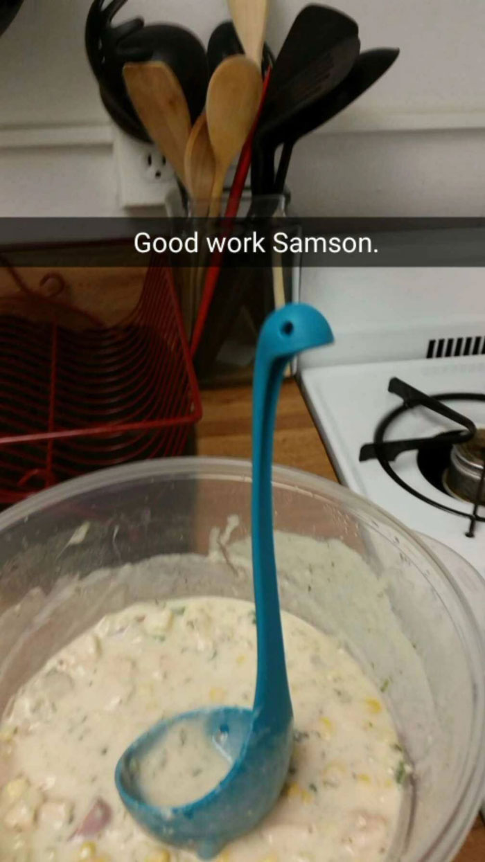 Woman Creates An Instagram Account For Her Soup Ladle Samson And People Can't Get Enough Of Him Woman Creates An Instagram Account For Her Soup Ladle Samson And People Can't Get Enough Of Him