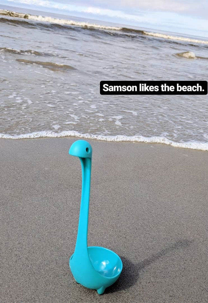 Woman Creates An Instagram Account For Her Soup Ladle Samson And People Can't Get Enough Of Him Woman Creates An Instagram Account For Her Soup Ladle Samson And People Can't Get Enough Of Him