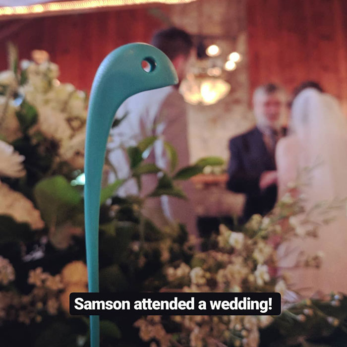 Woman Creates An Instagram Account For Her Soup Ladle Samson And People Can't Get Enough Of Him Woman Creates An Instagram Account For Her Soup Ladle Samson And People Can't Get Enough Of Him