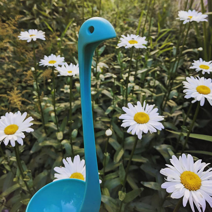 Woman Creates An Instagram Account For Her Soup Ladle Samson And People Can't Get Enough Of Him Woman Creates An Instagram Account For Her Soup Ladle Samson And People Can't Get Enough Of Him