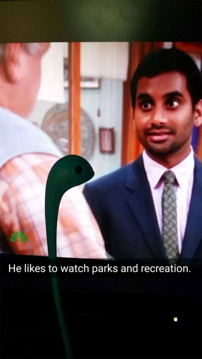 Woman Creates An Instagram Account For Her Soup Ladle Samson And People Can't Get Enough Of Him