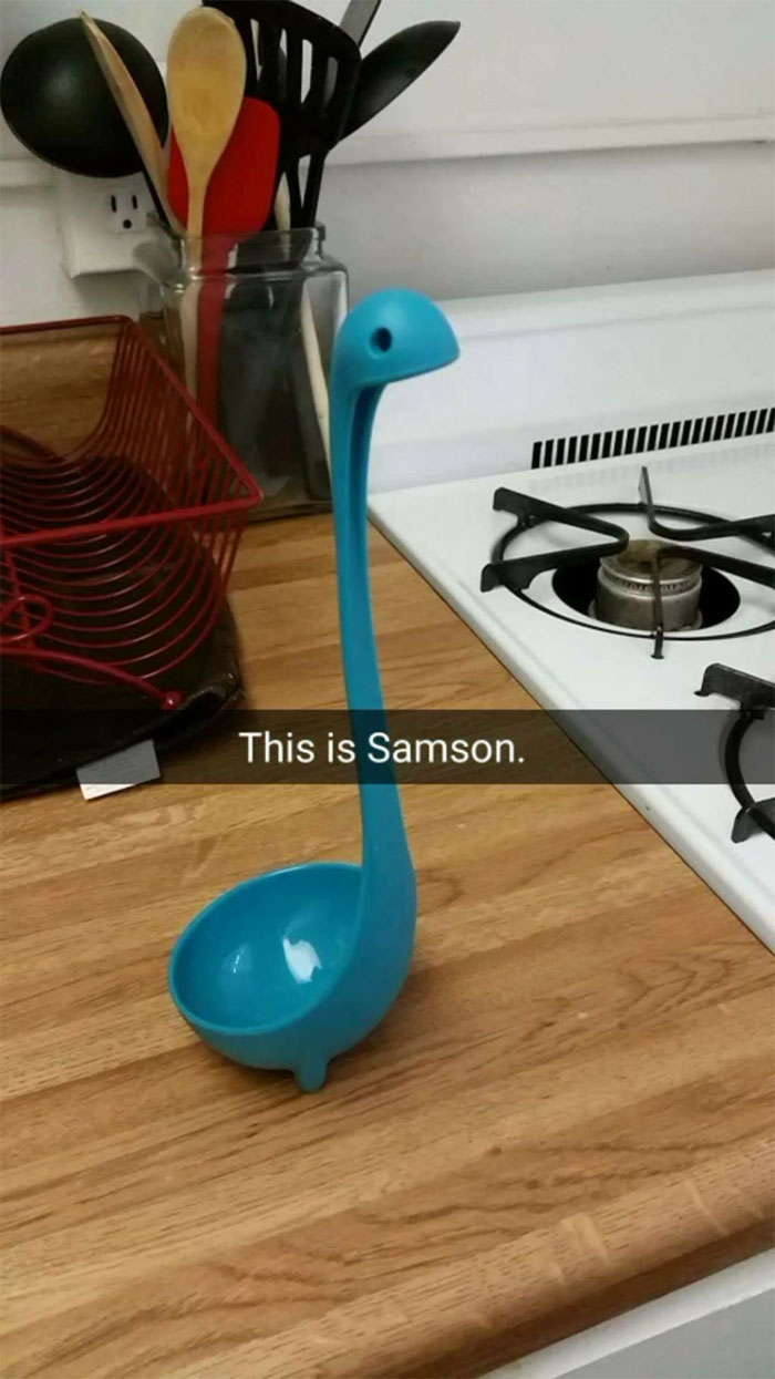 Woman Creates An Instagram Account For Her Soup Ladle Samson And People Can't Get Enough Of Him Woman Creates An Instagram Account For Her Soup Ladle Samson And People Can't Get Enough Of Him