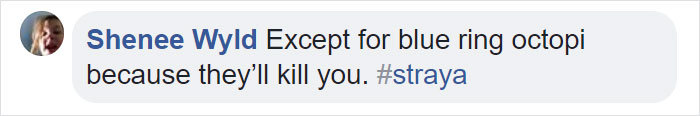 People Share The Most Incredible Things Octopuses Have Done And We May Have Underestimated Their Intelligence People Share The Most Incredible Things Octopuses Have Done And We May Have Underestimated Their Intelligence