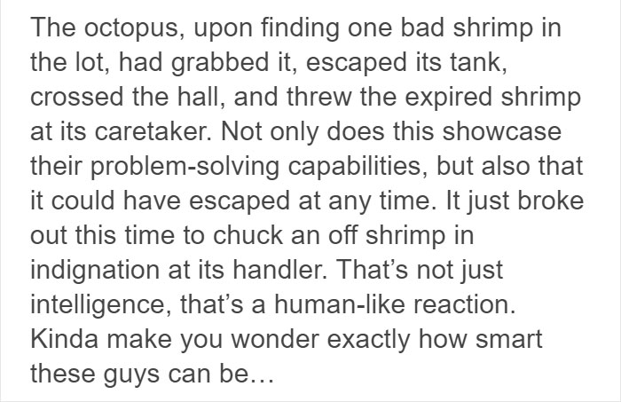 People Share The Most Incredible Things Octopuses Have Done And We May Have Underestimated Their Intelligence People Share The Most Incredible Things Octopuses Have Done And We May Have Underestimated Their Intelligence