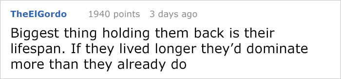 People Share The Most Incredible Things Octopuses Have Done And We May Have Underestimated Their Intelligence