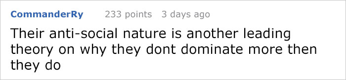 People Share The Most Incredible Things Octopuses Have Done And We May Have Underestimated Their Intelligence People Share The Most Incredible Things Octopuses Have Done And We May Have Underestimated Their Intelligence