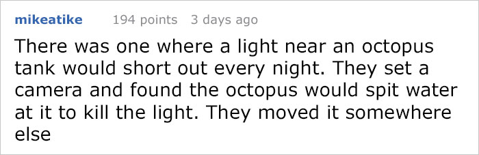 People Share The Most Incredible Things Octopuses Have Done And We May Have Underestimated Their Intelligence