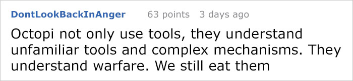 People Share The Most Incredible Things Octopuses Have Done And We May Have Underestimated Their Intelligence People Share The Most Incredible Things Octopuses Have Done And We May Have Underestimated Their Intelligence