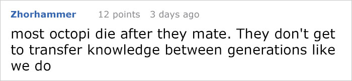 People Share The Most Incredible Things Octopuses Have Done And We May Have Underestimated Their Intelligence People Share The Most Incredible Things Octopuses Have Done And We May Have Underestimated Their Intelligence
