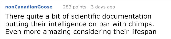 People Share The Most Incredible Things Octopuses Have Done And We May Have Underestimated Their Intelligence People Share The Most Incredible Things Octopuses Have Done And We May Have Underestimated Their Intelligence