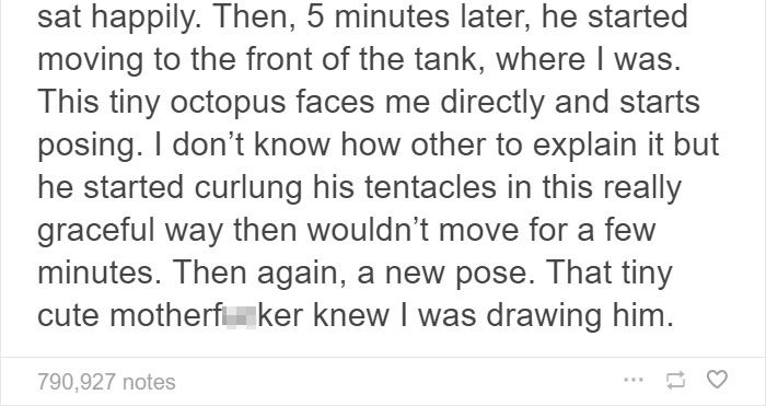 People Share The Most Incredible Things Octopuses Have Done And We May Have Underestimated Their Intelligence