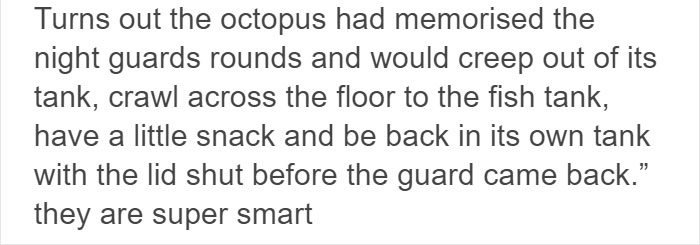 People Share The Most Incredible Things Octopuses Have Done And We May Have Underestimated Their Intelligence People Share The Most Incredible Things Octopuses Have Done And We May Have Underestimated Their Intelligence