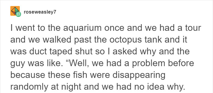 People Share The Most Incredible Things Octopuses Have Done And We May Have Underestimated Their Intelligence People Share The Most Incredible Things Octopuses Have Done And We May Have Underestimated Their Intelligence