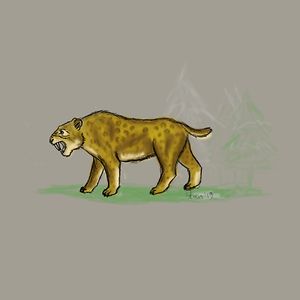 stanimira_deleva avatar