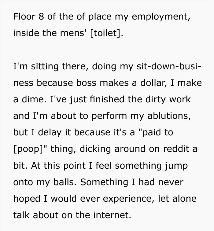 Guy Accidentally Sat On A Toilet With A Huntsman Spider In It, Says He Was Assaulted By 'World's Smallest Sexual Predator"