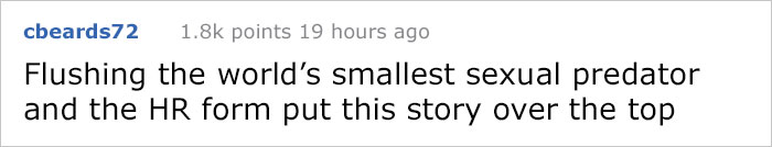 Guy Accidentally Sat On A Toilet With A Huntsman Spider In It, Says He Was Assaulted By 'World's Smallest Sexual Predator" Guy Accidentally Sat On A Toilet With A Huntsman Spider In It, Says He Was Assaulted By 'World's Smallest Sexual Predator"