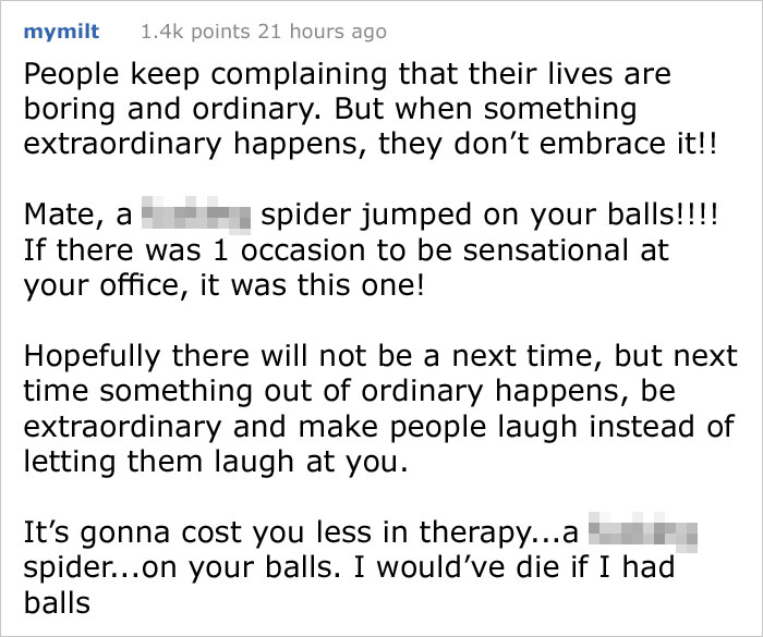 Guy Accidentally Sat On A Toilet With A Huntsman Spider In It, Says He Was Assaulted By 'World's Smallest Sexual Predator"