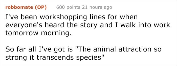 Guy Accidentally Sat On A Toilet With A Huntsman Spider In It, Says He Was Assaulted By 'World's Smallest Sexual Predator"