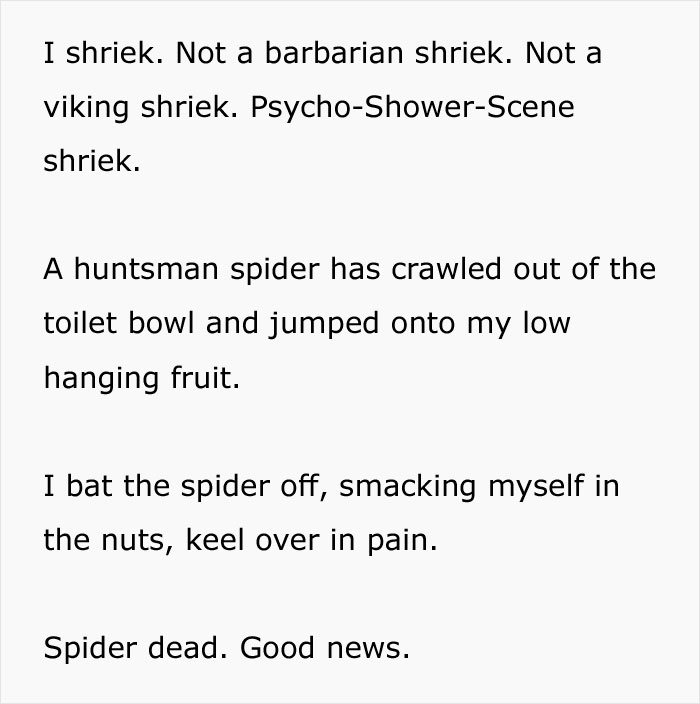 Guy Accidentally Sat On A Toilet With A Huntsman Spider In It, Says He Was Assaulted By 'World's Smallest Sexual Predator" Guy Accidentally Sat On A Toilet With A Huntsman Spider In It, Says He Was Assaulted By 'World's Smallest Sexual Predator"