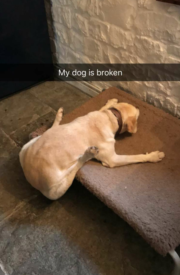 Doesn't Really Need A Title