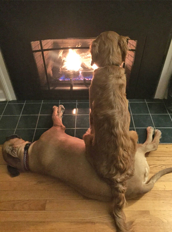 Anywhere. You Could Sit Anywhere