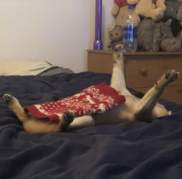 This Is How She Sleeps