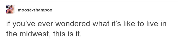 Artist Buys Rights To A Black Pigment So Others Can't Use It, Gets Trolled In Return Artist Buys Rights To A Black Pigment So Others Can't Use It, Gets Trolled In Return