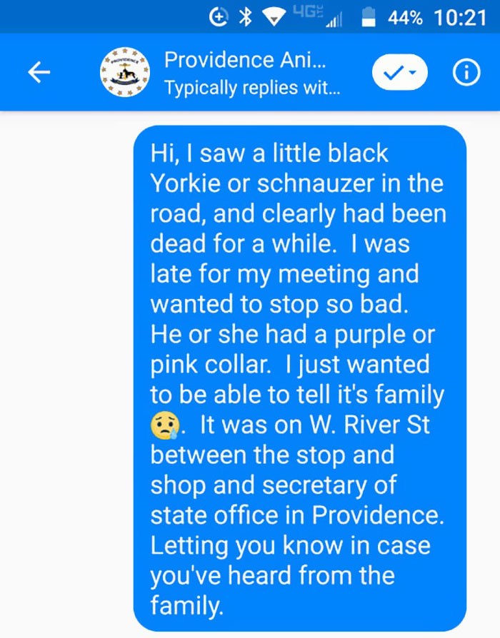 Someone Calls Police About A Dead Dog, Dies From Laughter After They Write Back