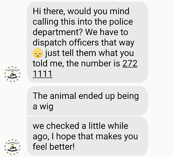 Someone Calls Police About A Dead Dog, Dies From Laughter After They Write Back