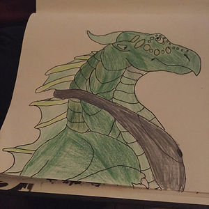 warriorcatsfan05 avatar