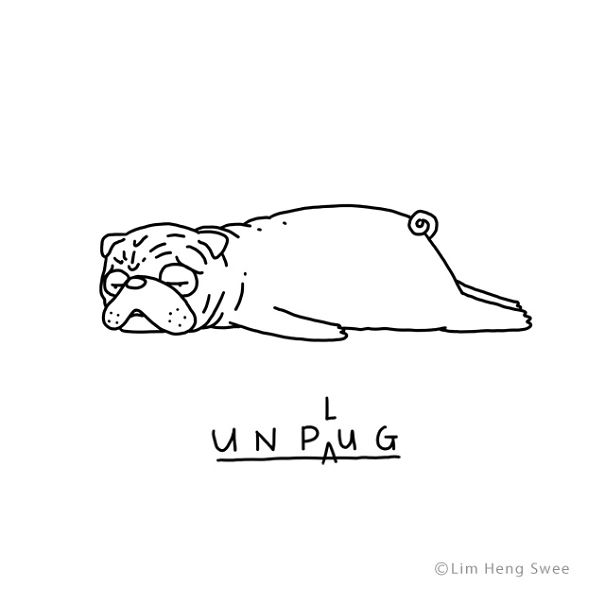 Pug