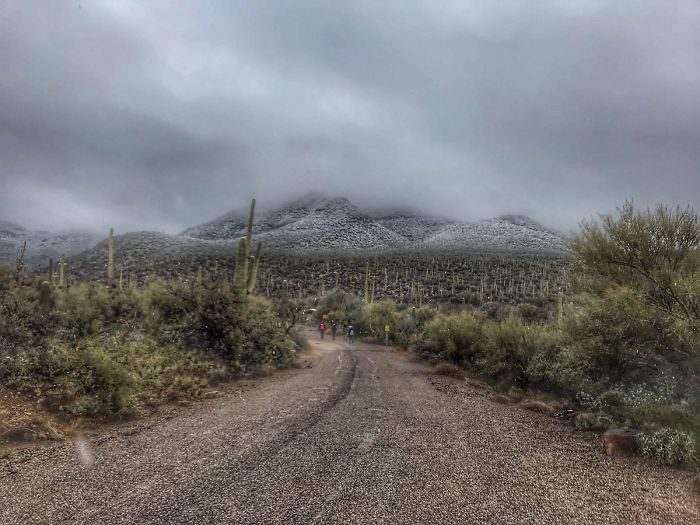 Snow Falls In Arizona Desert And The Pictures Are Chilling Snow Falls In Arizona Desert And The Pictures Are Chilling